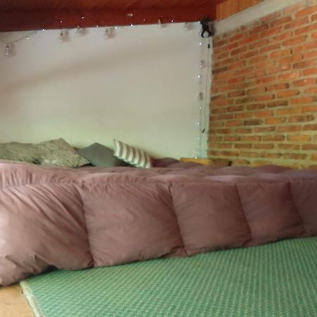 Casita En La Montana Apartamento San Martín de los Andes Exterior foto